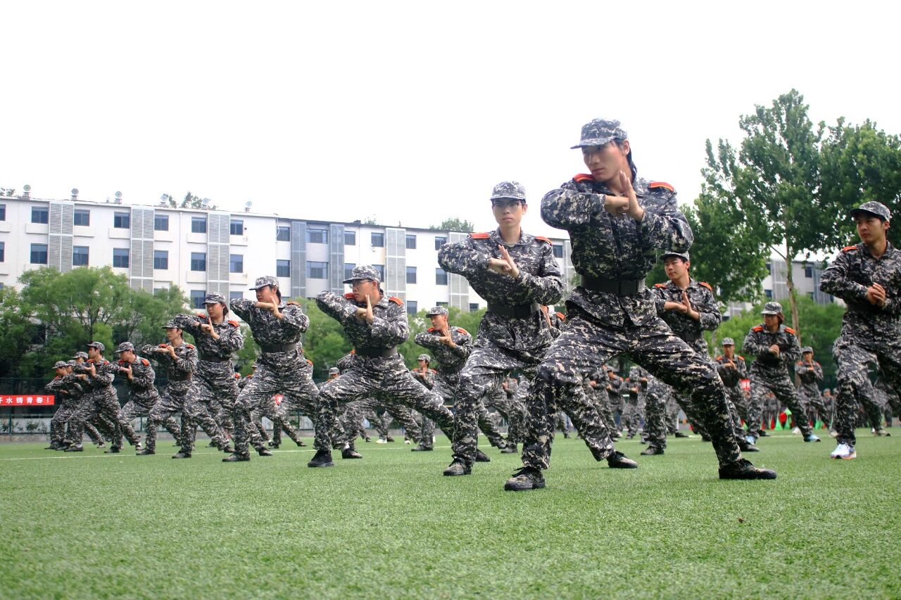 开云手机网页登录入口手机版登录副书记
