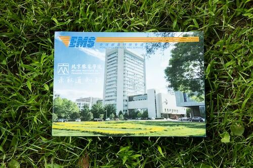 于8月15日寄出